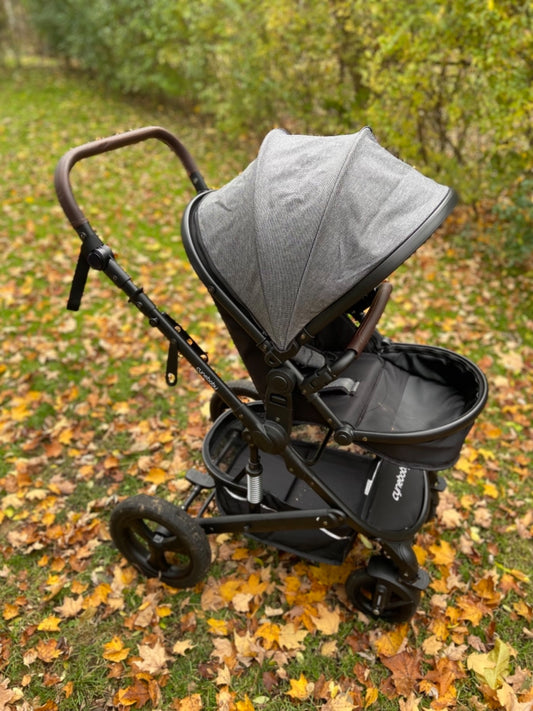 This is a decent all-weather, all-terrain stroller.